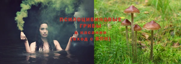 ПСИЛОЦИБИНОВЫЕ ГРИБЫ Володарск