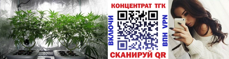 цена   мега ТОР  Дистиллят ТГК THC oil  Петухово 